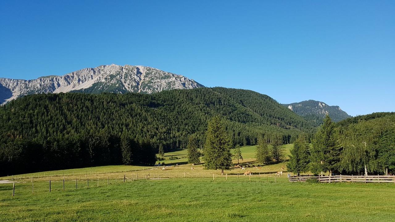 Ferienwohnungen Mamauwiese Gutenstein ภายนอก รูปภาพ