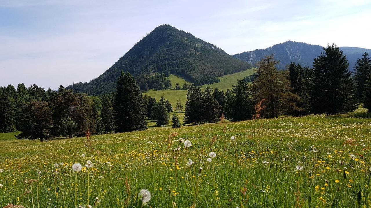 Ferienwohnungen Mamauwiese Gutenstein ภายนอก รูปภาพ