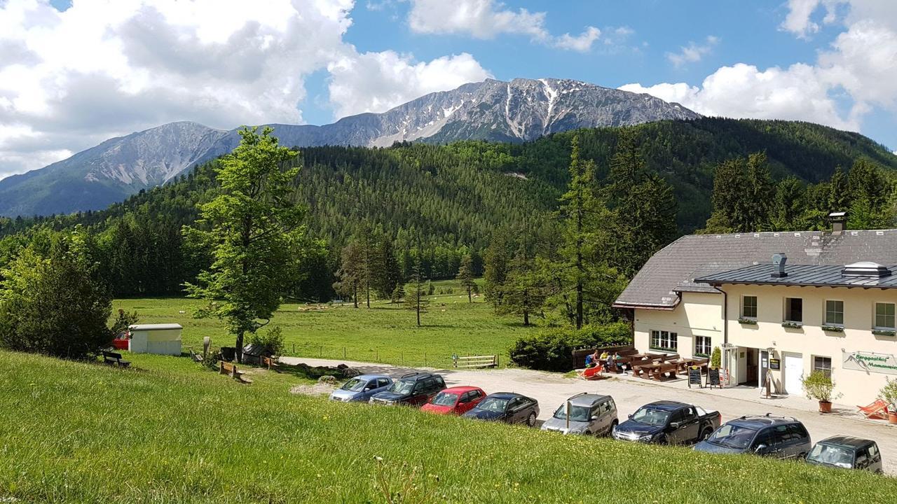 Ferienwohnungen Mamauwiese Gutenstein ภายนอก รูปภาพ
