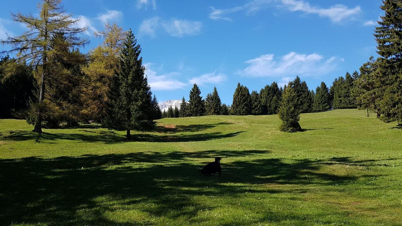 Ferienwohnungen Mamauwiese Gutenstein ภายนอก รูปภาพ