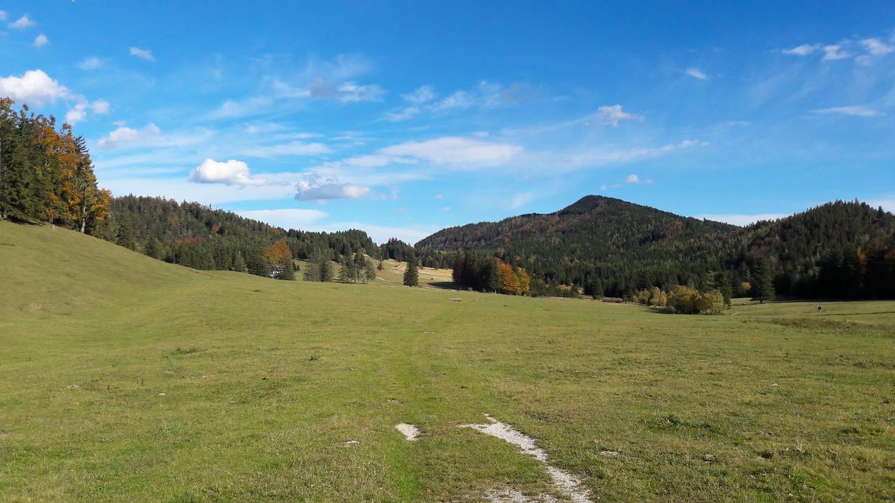 Ferienwohnungen Mamauwiese Gutenstein ภายนอก รูปภาพ