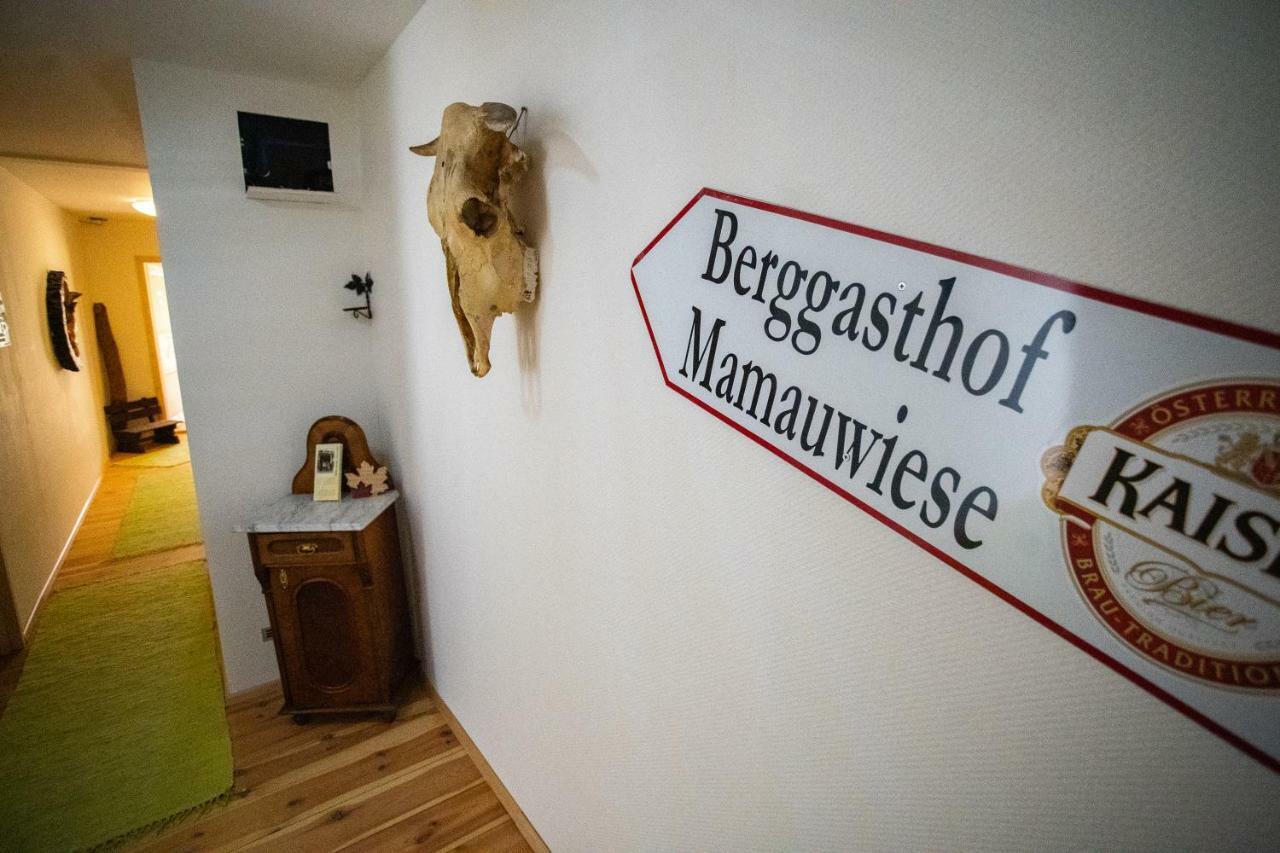 Ferienwohnungen Mamauwiese Gutenstein ภายนอก รูปภาพ