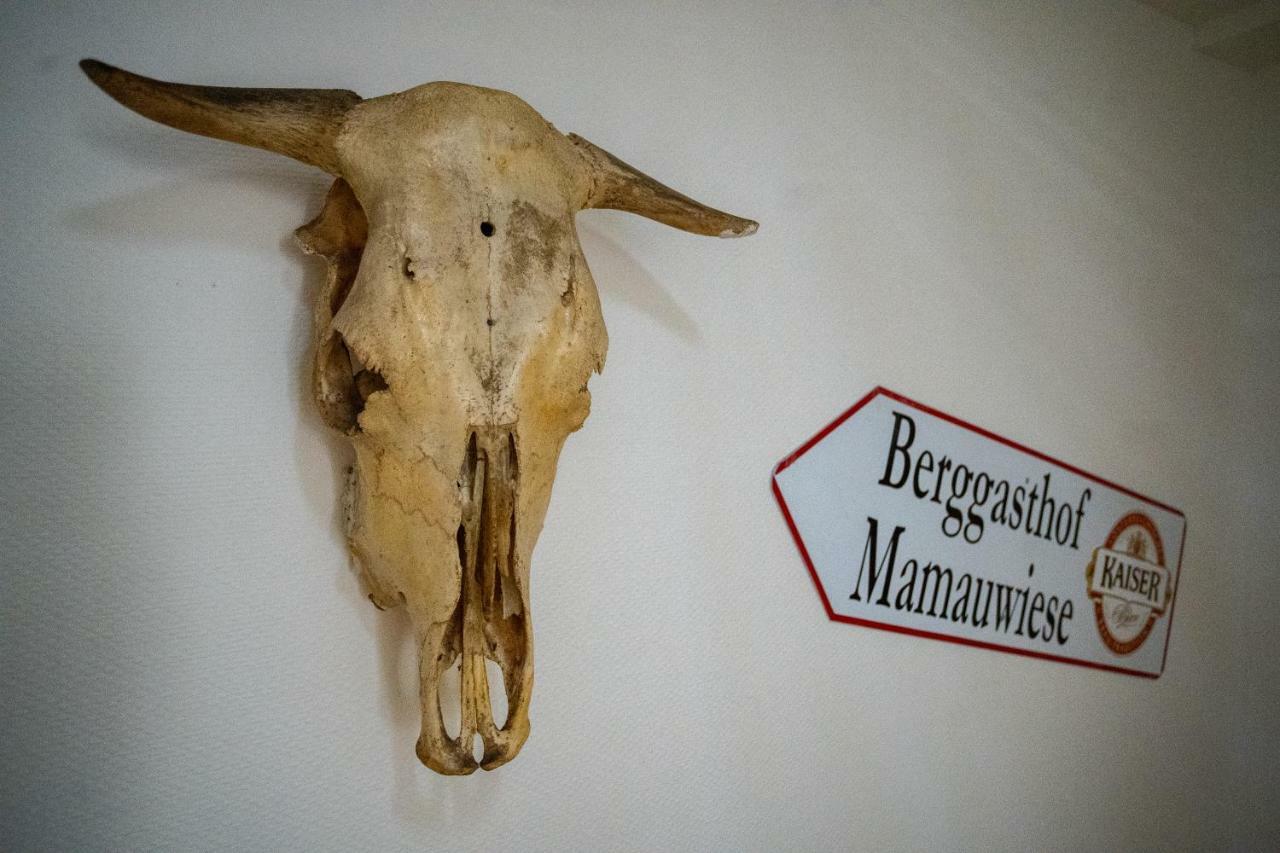 Ferienwohnungen Mamauwiese Gutenstein ภายนอก รูปภาพ